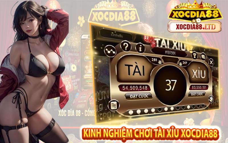 Hướng dẫn cách chơi tài xỉu Xocdia88 dễ thắng nhất