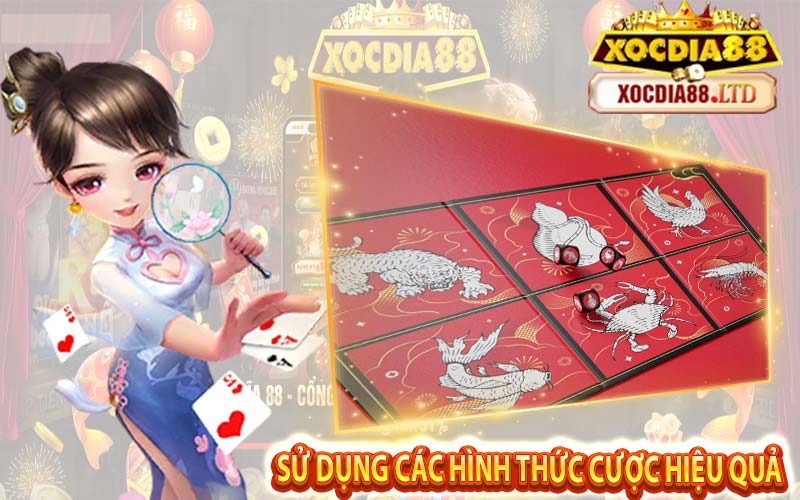 Sử Dụng Các Hình Thức Cược Hiệu Quả